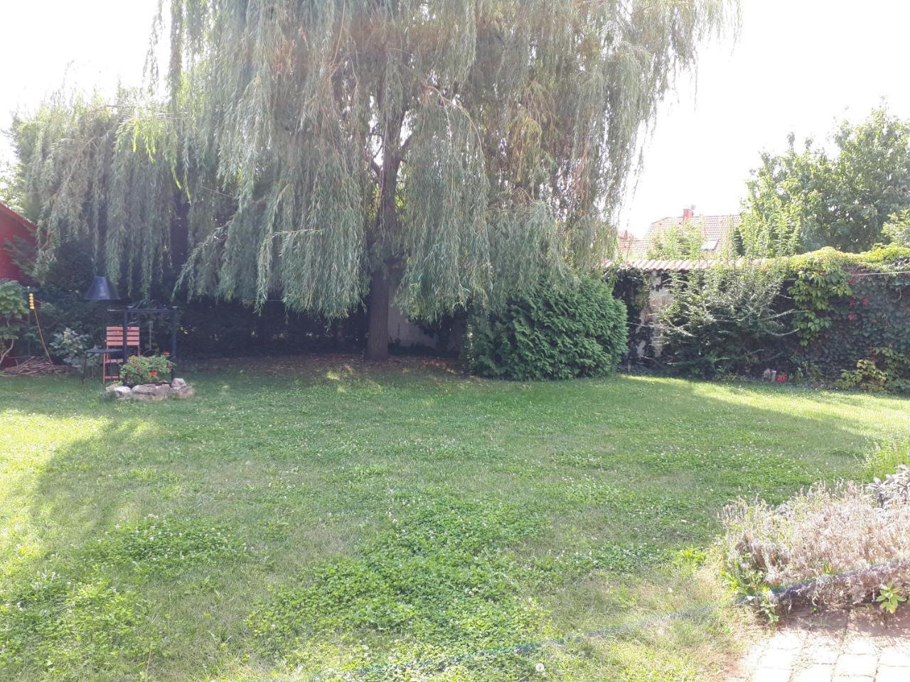 Kertvárosi Apartman Tiszaujvaros Exterior foto