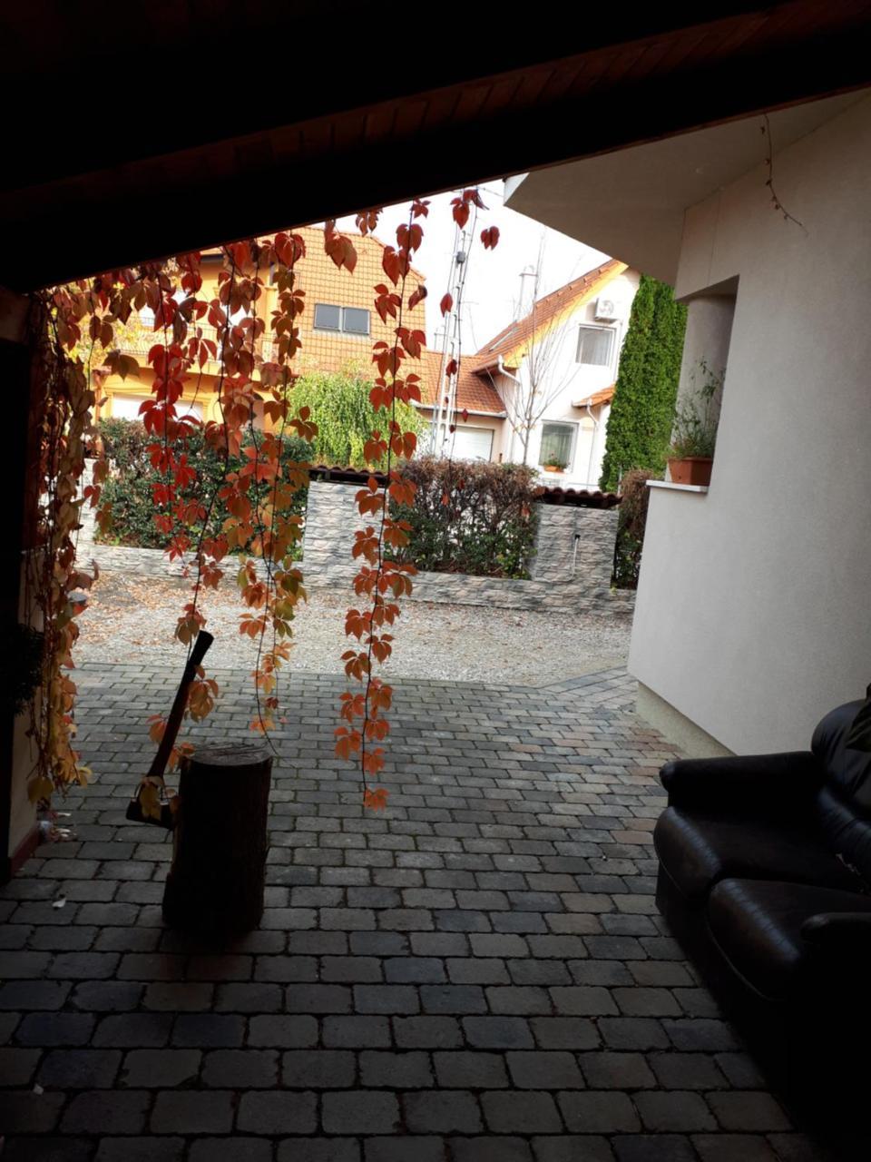 Kertvárosi Apartman Tiszaujvaros Exterior foto